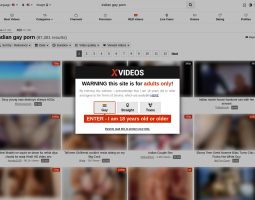 XVideos/Indian Gay