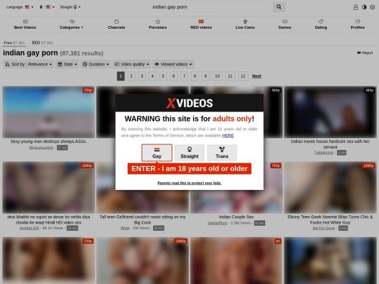 XVideos/Indian Gay