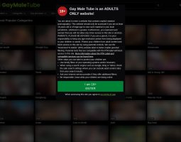 GayMaletube